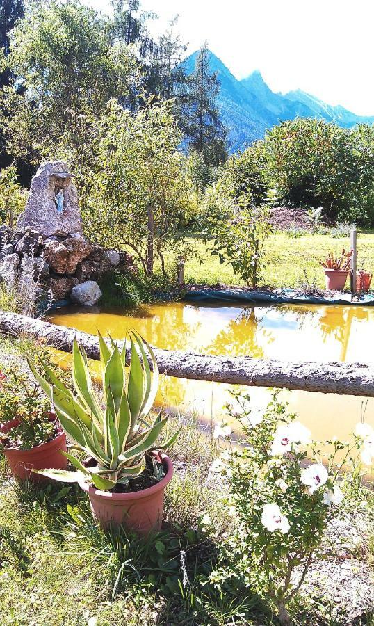 B&B Lo Scoiattolo Nebbiu Dış mekan fotoğraf