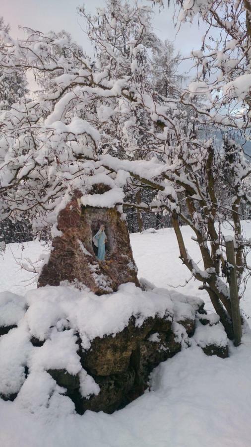 B&B Lo Scoiattolo Nebbiu Dış mekan fotoğraf