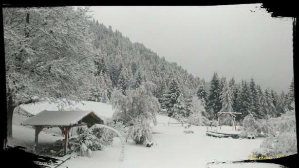 B&B Lo Scoiattolo Nebbiu Dış mekan fotoğraf